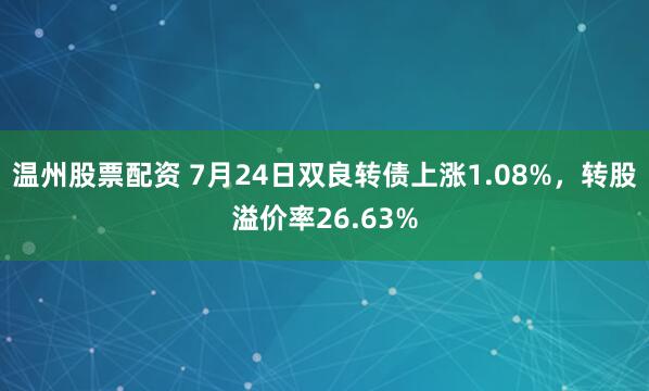 温州股票配资 7月24日双良转债上涨1.08%，转股溢价率26.63%